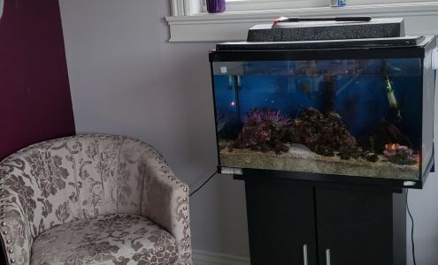 Pretty & Pampered Esthetics 450 King George Hwy, Miramichi New Brunswick E1V 1M1