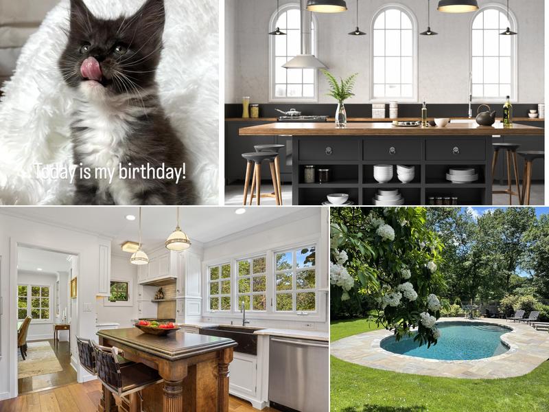 Deb Halsey ::: Compass