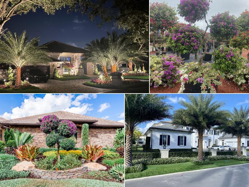 Go2Scape - Parkland Landscape, Tree Trimming & Turf