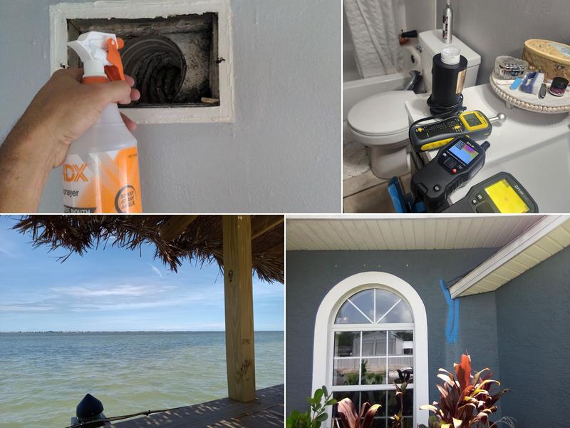 Palm Bay Mold Removal