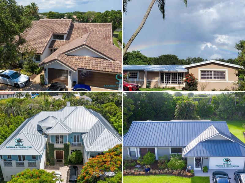 Whale Roofing & Construction