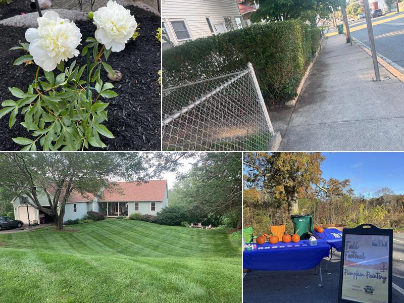 Pristine Property Maintenance