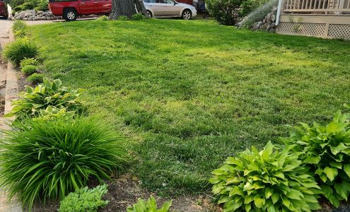 Highest Quality Lawn & Pest Inc. 15 King St, Auburn New Hampshire 03032