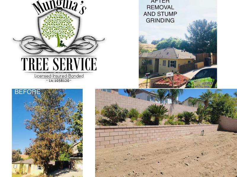 Munguia's Tree Service