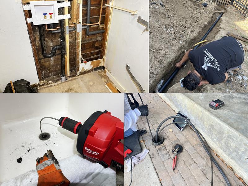 The Toilet Whisperer