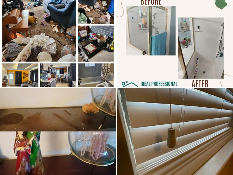 Ideal Professional Janitorial Services & Ideal Home Cleaners