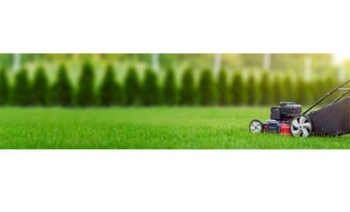 Gainesville Lawn Services 415 S Clements St, Gainesville Texas 76240