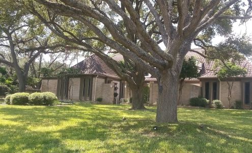 Danny's Tree Trimming and Private Fencing 603 W Juanita St, San Diego Texas 78384