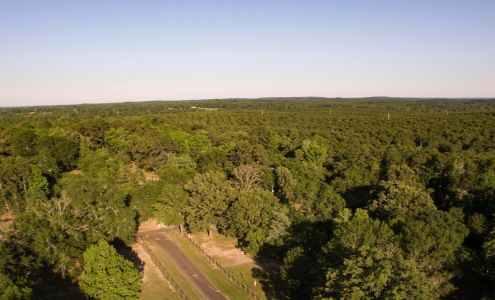 Gray Dragon Drone Service