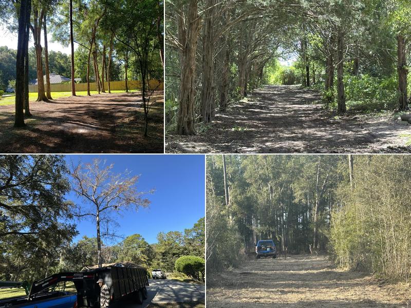 Brown's Land Restoration