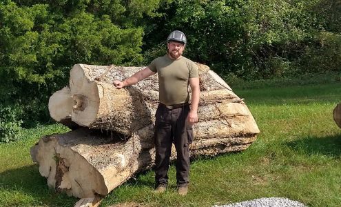 Top Notch Tree Service LLC