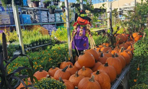 Garden Center at The Home Depot