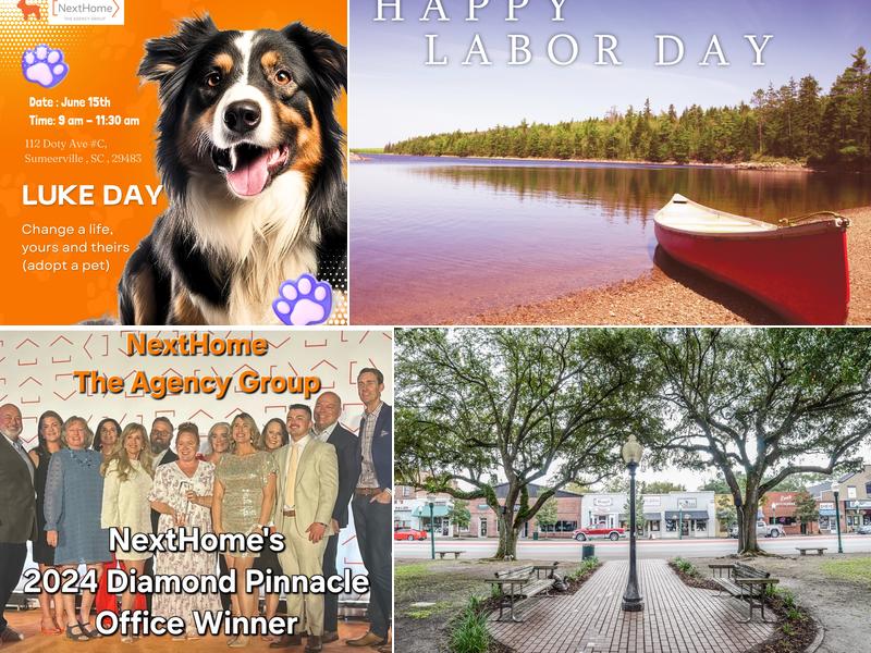 Christina Sineath Realtor, Next Move Charleston