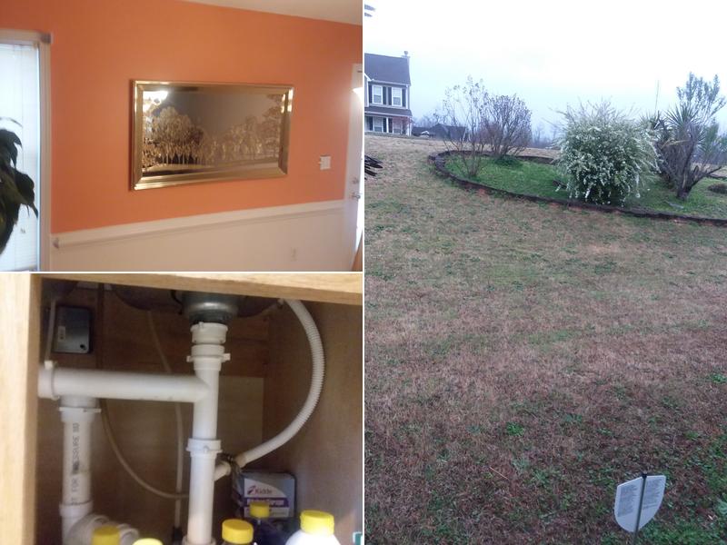 The survior handyman services