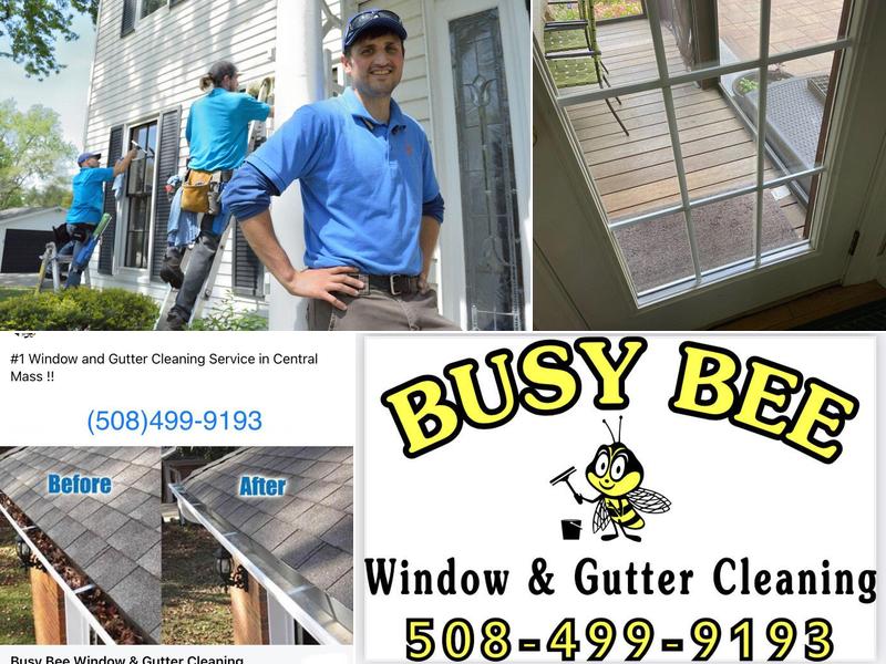 Busy Bee Window & Gutter Cleaning