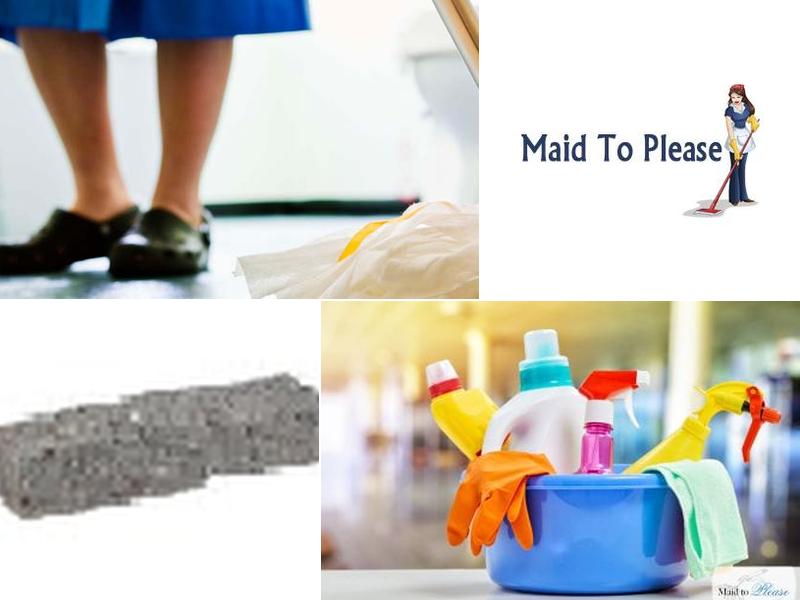 Maid to Please Inc