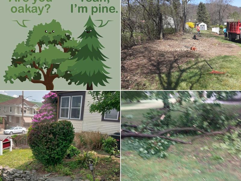 Done Right Tree Service llc