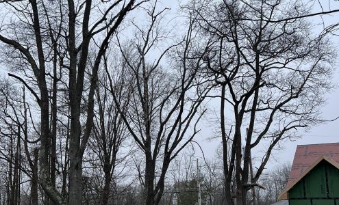 Winnie's Tree Services, LLC W Center St, Elysburg Pennsylvania 17824