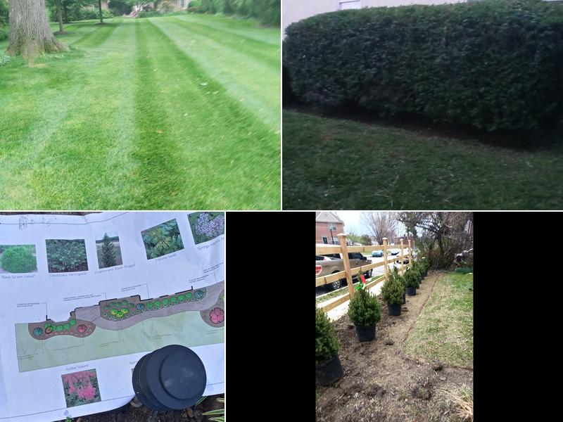 CK Lawn Maintenance & Landscaping LLC