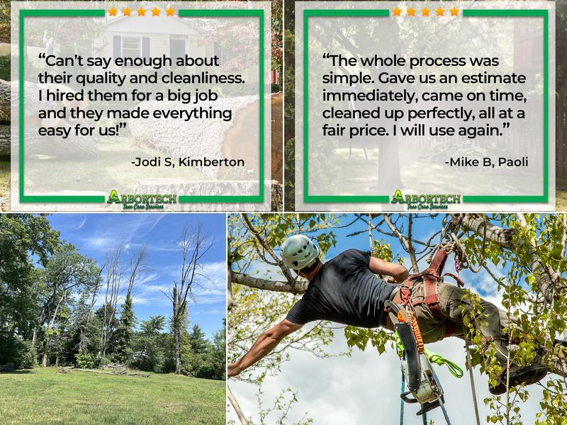 Arbortech Tree Care Services