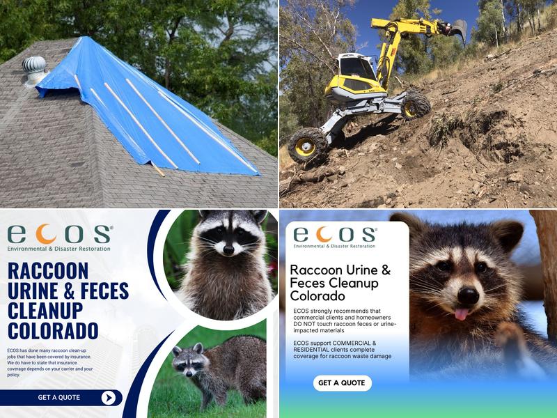 ECOS Environmental & Disaster Restoration, Inc.