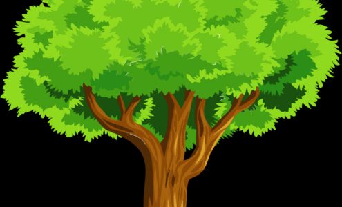 Susquehanna Valley Tree LLC