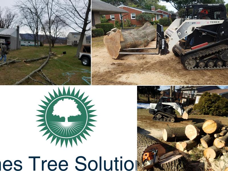 Imes Tree Solutions LLC