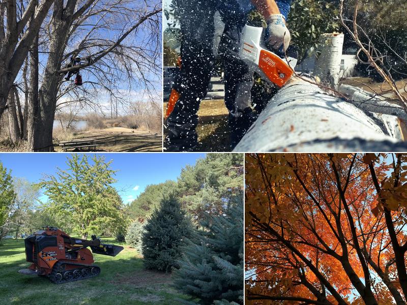 Eagle Peak Tree Care