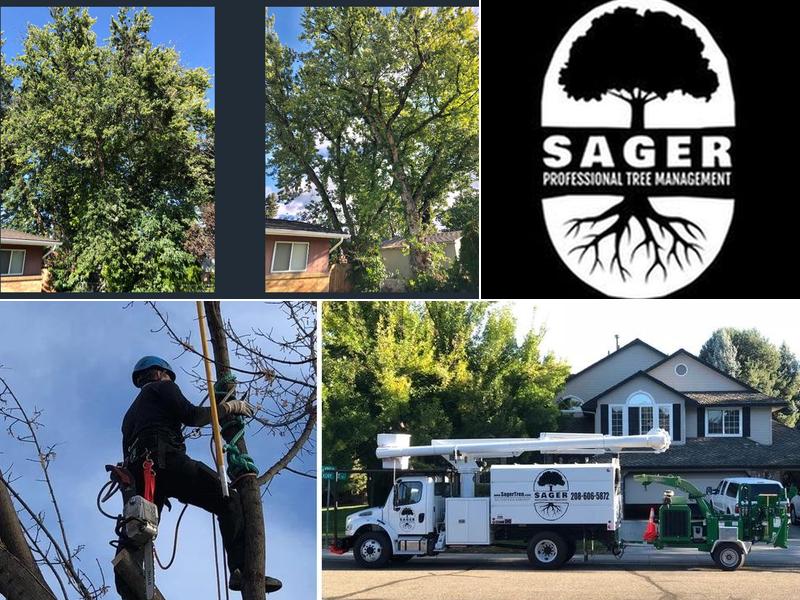 Sager Professional Tree Management