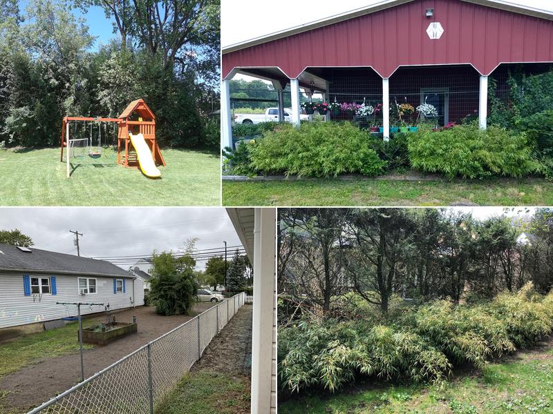 New Jersey Bamboo Landscaping LLC