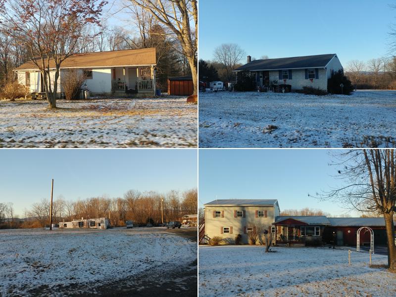 Raco's Axis Arbor Care