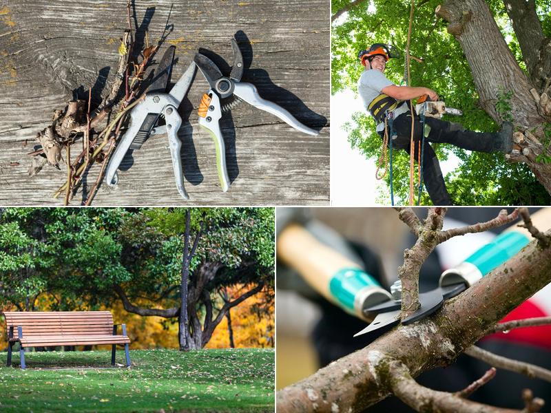 Aikey's Tree Service