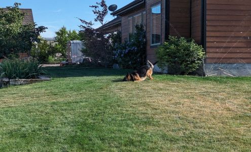 Super Realty of Idaho