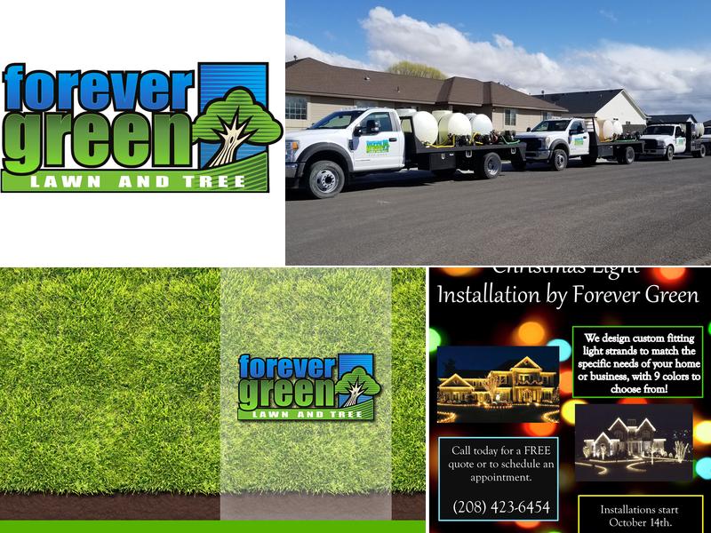 Forever Green Lawn & Tree