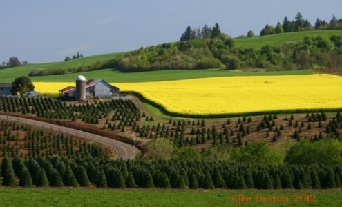 Bonebrake & Company, LLC. Realty One Group Willamette Valley 1155 N First Ave, Stayton Oregon 97383