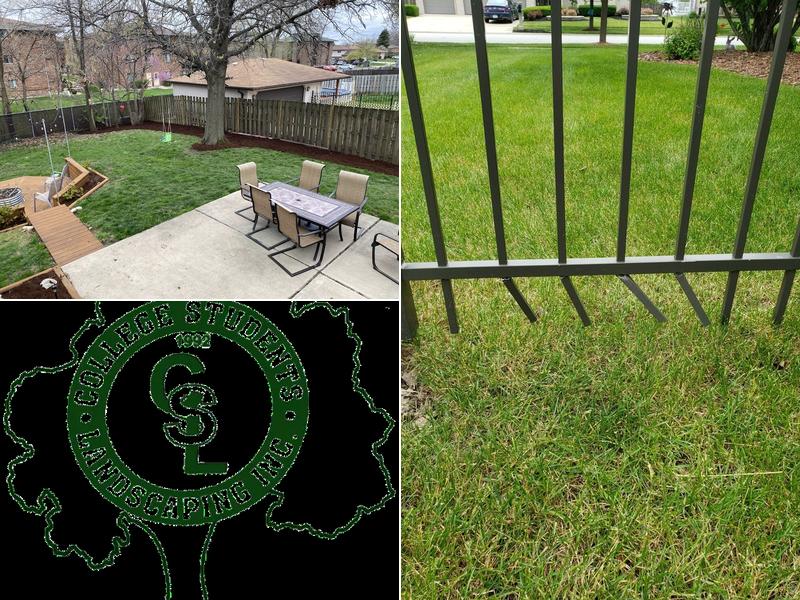 College Students Landscaping