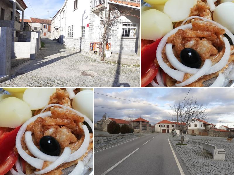 Isaac P Afonso Inácio