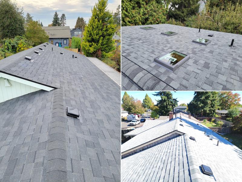 Predator Roofing & Construction