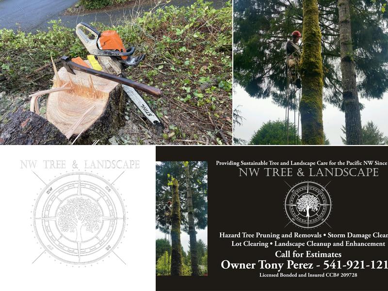 NW Tree & Landscape LLC