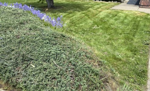 Johnson Lawn Care Services