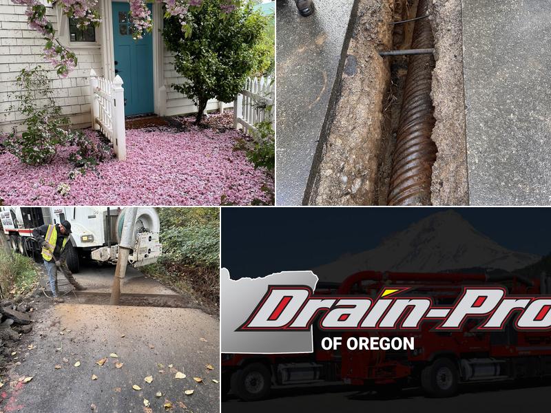 Drain-Pro Inc. - Oregon