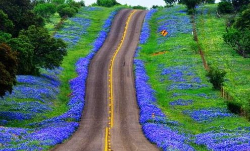 Byron Lawn & Landscape