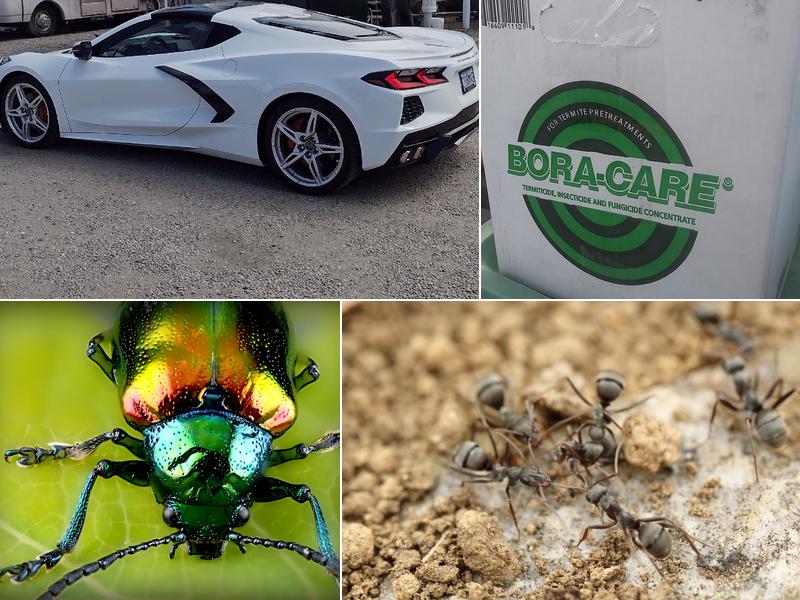 Mid Columbia Pest Control