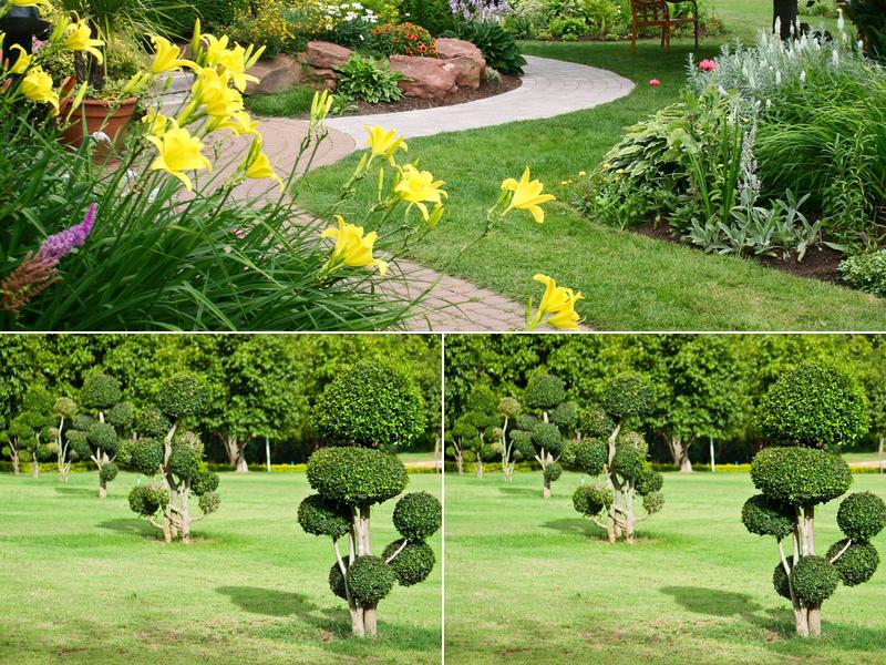 Woodworth Lawn Ground Maintenance And Tree Service