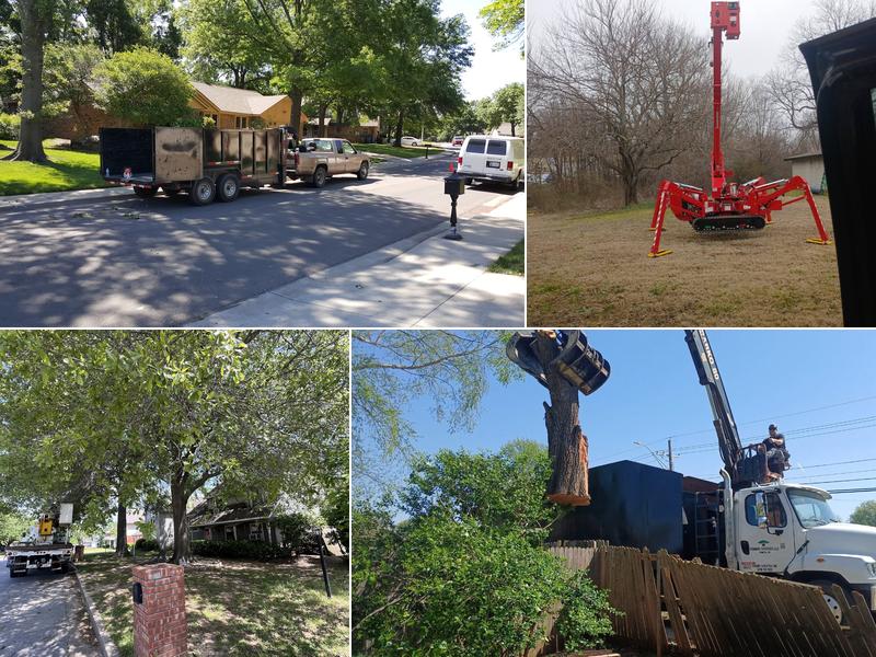 Cehand Tree service and Land Clearing