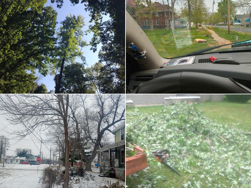 A-1 Bowers Tree Services