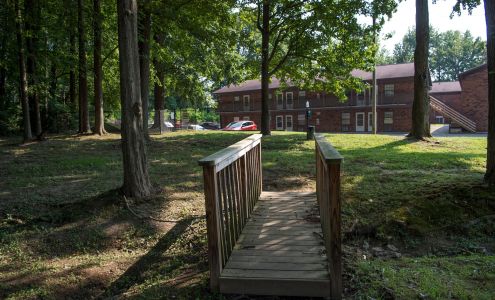 Shady Tree Apartments