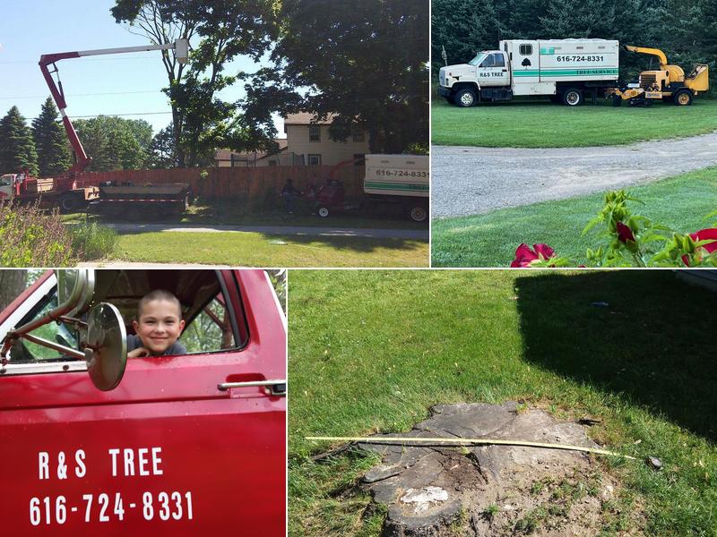 R & S Tree Service