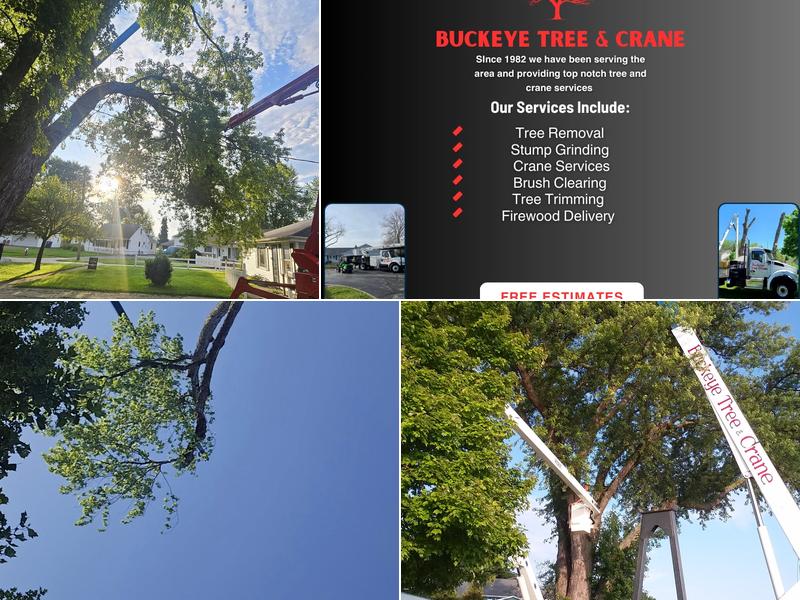 Buckeye Tree and crane service LLC