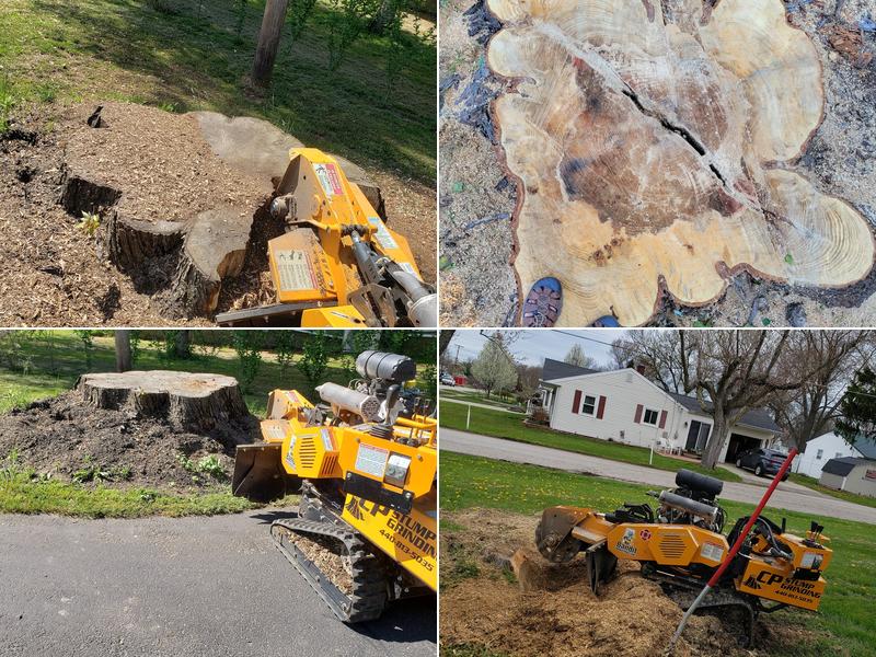CP Stump Grinding